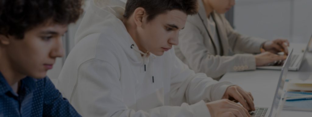 Healthcare software banner 1