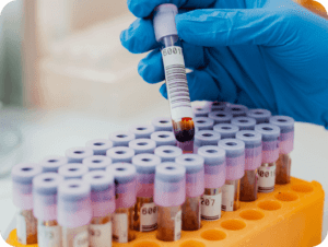 lab