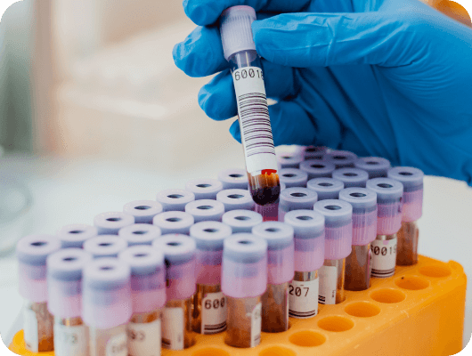 lab